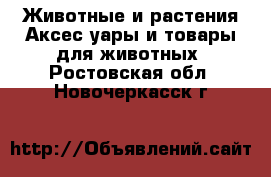 Животные и растения Аксесcуары и товары для животных. Ростовская обл.,Новочеркасск г.